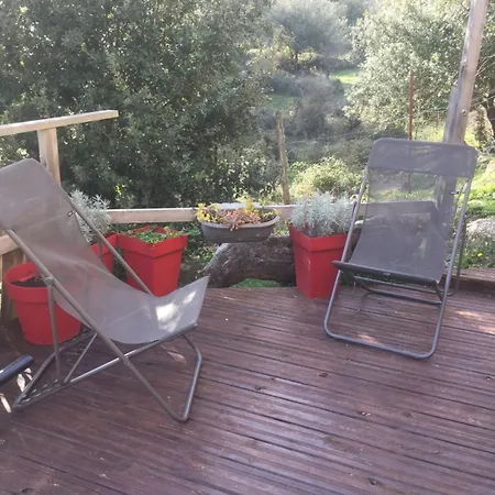 Bas De Avec Grande Terrasse