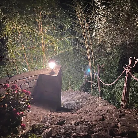 Bas De Avec Grande Terrasse * Piedigriggio