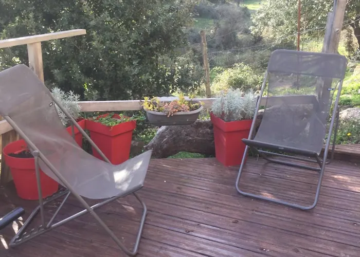 Bas De Avec Grande Terrasse