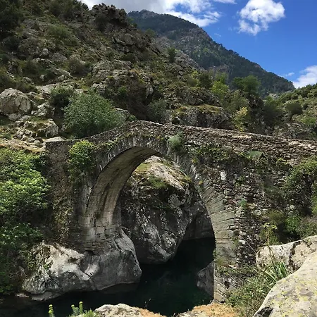 Bas De Avec Grande Terrasse Holiday home Piedigriggio