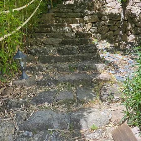 Bas De Avec Grande Terrasse Piedigriggio