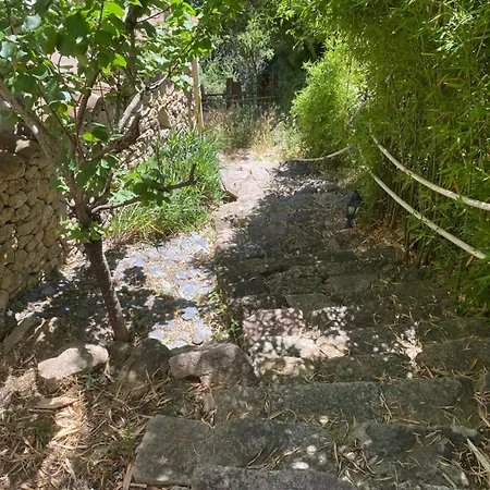 Bas De Avec Grande Terrasse