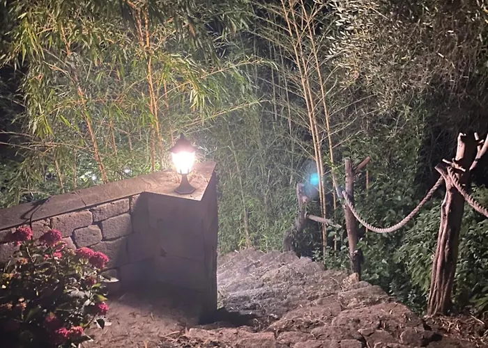 Bas De Avec Grande Terrasse * Piedigriggio